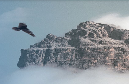 米蘭體育2020年可視化年報